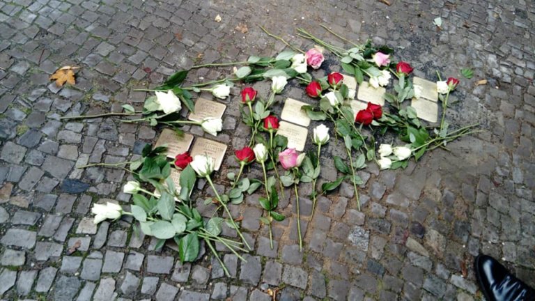 Sieben Stolpersteine im Prinzenviertel