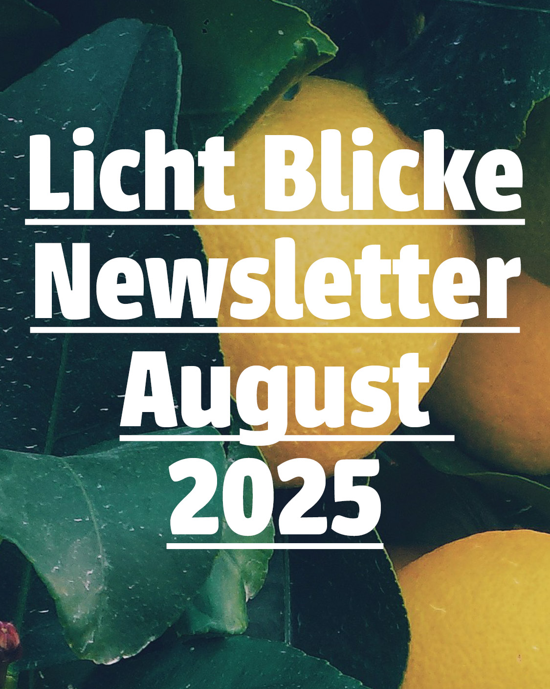 Licht Blicke Newsletter August 2025